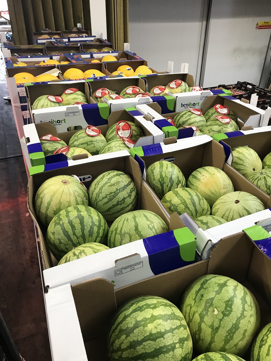 Spanish melons are here!!! TS Robinson