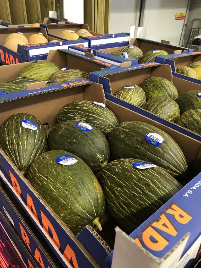 Spanish melons are here!!! TS Robinson